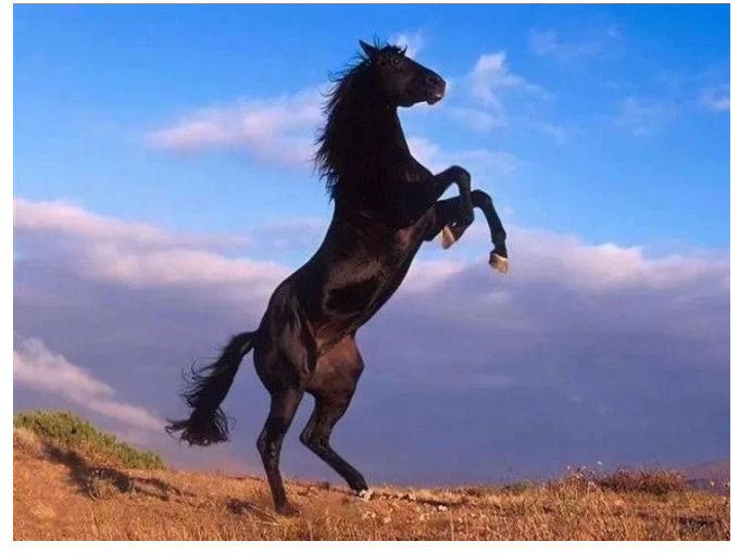 中科信息300678:后市展望精准预测,散户注意了