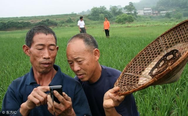 未来几年，农村3类人会越过越穷，2类人会越来越富，你是哪一类？