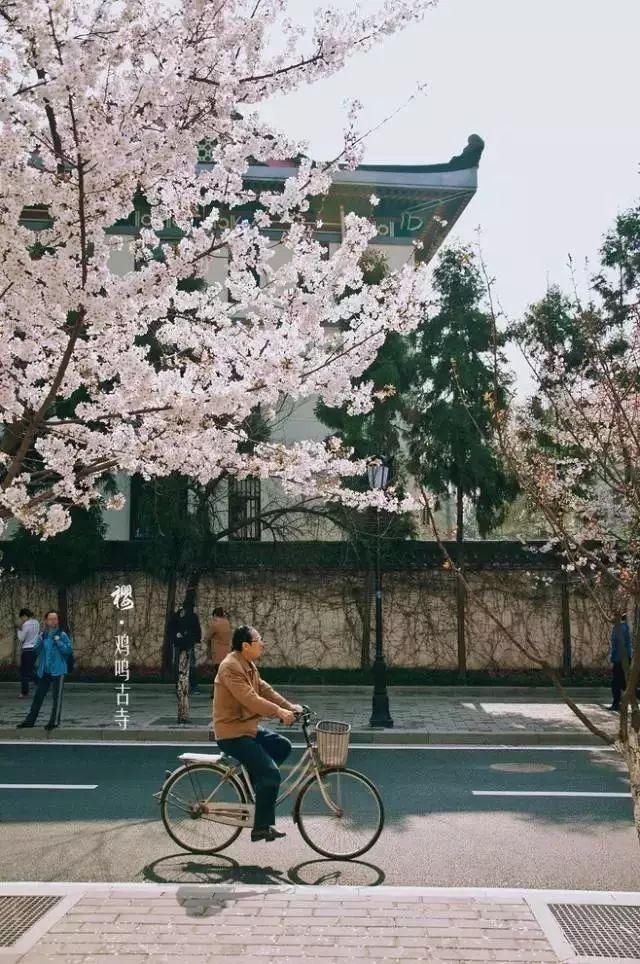 中国最适合养老的十个地方，竟然没有三亚和青岛