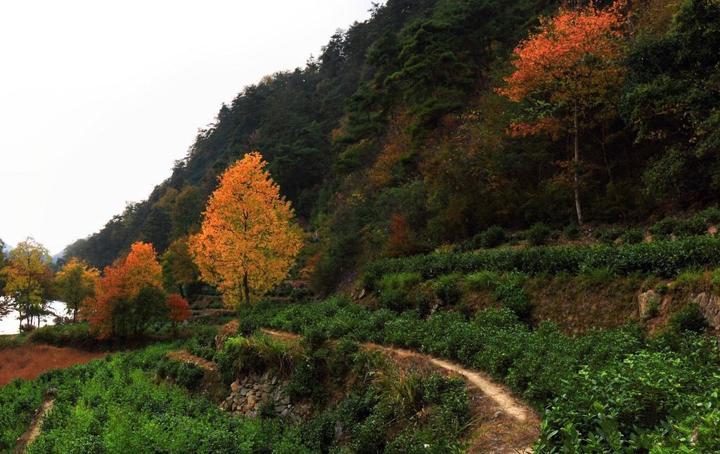 旅游天下去池州青阳黄石溪欣赏"九寨"美景