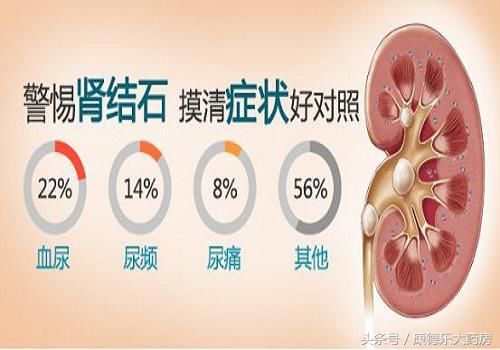 肾结石的4大危害!尽早治疗摆脱结石,千万不能