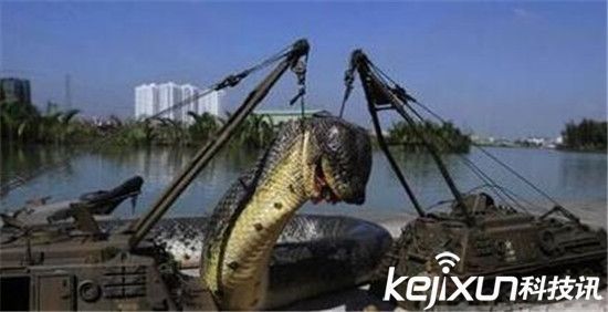 广西桂平深山挖出一条140岁金色蛇精 震惊全球