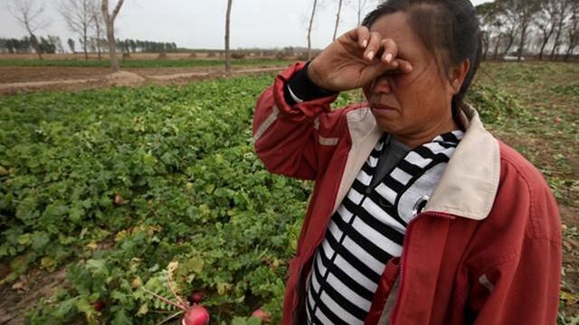 为什么水果“滞销”，已经成了常态?