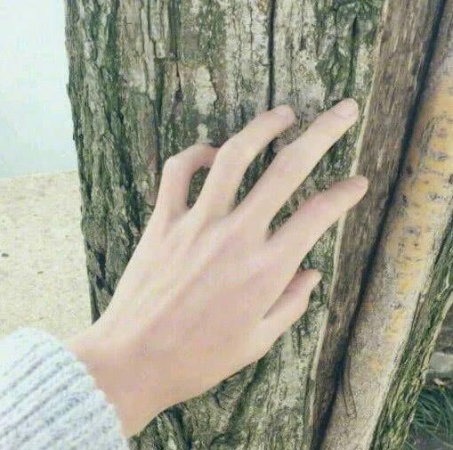 心理测试：4只漂亮的手，哪只是女人的？你看人的眼光准不准！