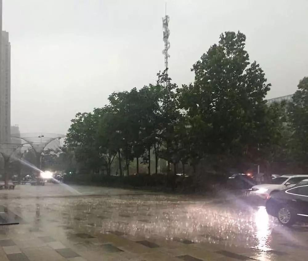 雷雨大风终于来了！夜里有暴雨！阵风八级！合肥这里积水