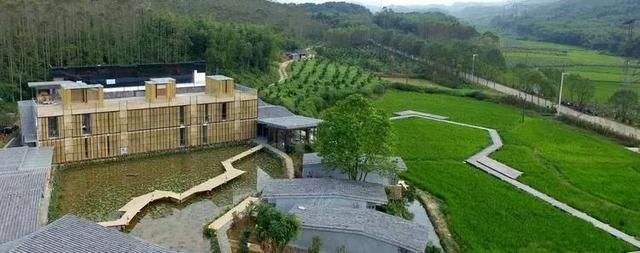 从废弃小学到绝美民宿！千亩稻田环绕、山泉水无边泳池，这间酒店