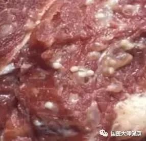 这14种肉最好别吃！尤其是前3种！