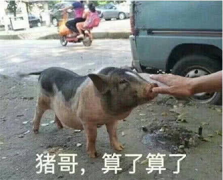 发呆v面子面子:鸡哥给个表情,别打他!表情包劝架清超头像图片