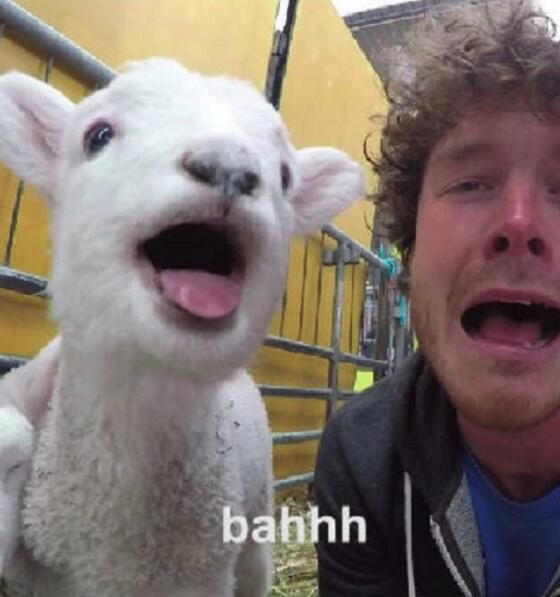 这一定是世界上最好的工作 小哥旅游半年拿到