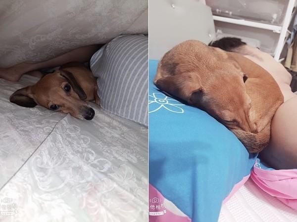 厕所瞄到黑影！抬头见「超腊偷窥狂」探窗猛看　网惊：怎上去的