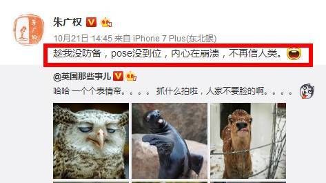 朱广权微博放大招,被耽误的段子手发现新的舞