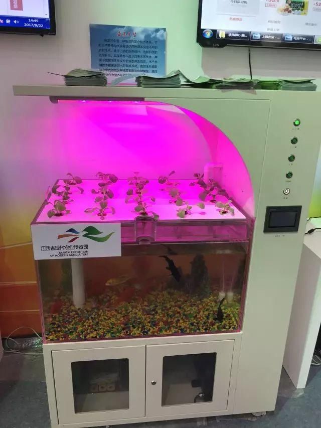 循环农业有哪些好的模式?具体怎么做才赚钱?