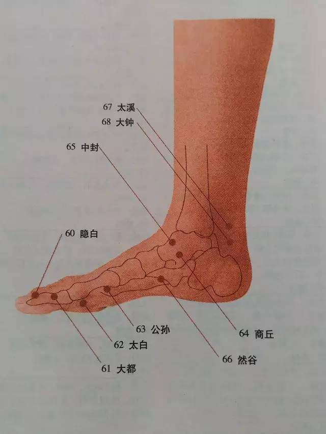 全身穴位图解，一定要收藏!