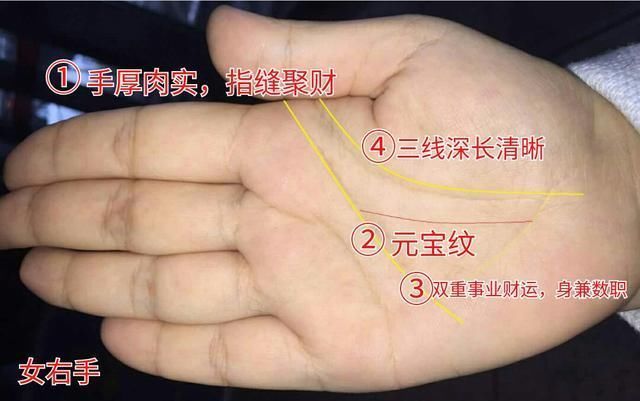 拥有此类手相的人，子发孙旺、生活悠闲，无忧衣禄，大吉!