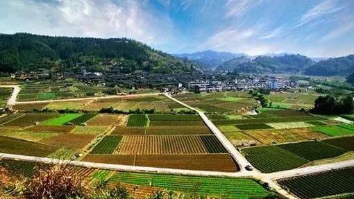 搞农业有哪些扶持?甘肃产业扶贫政策最全解读