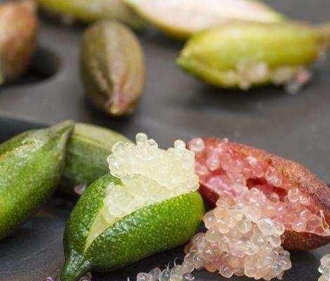 水果中的“爱马仕”