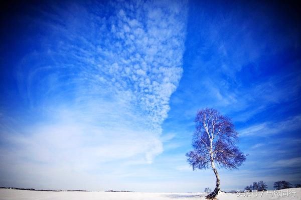 大美新疆 锦绣昭苏