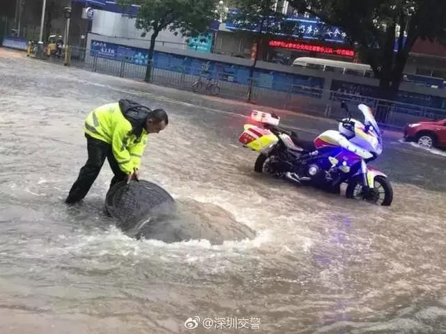 4号台风登陆，10余年首次高考遇上台风！还有特大暴雨等着你……