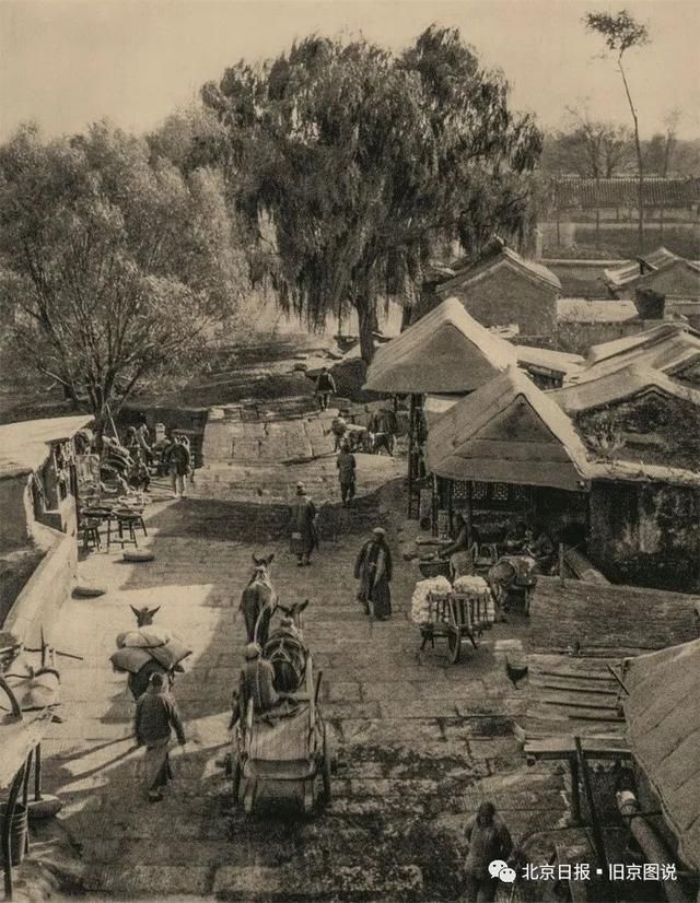 他为北京拍下66张美图，却死在日军集中营