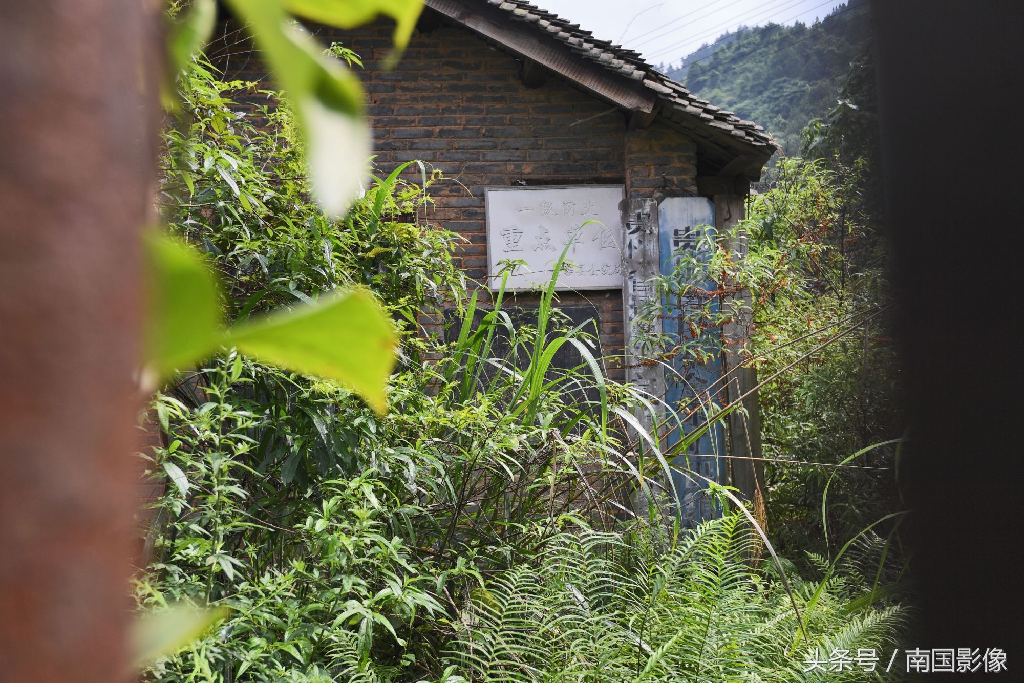 曾经的“小香港”已日落西山，变成无人区，成为一片荒凉之地