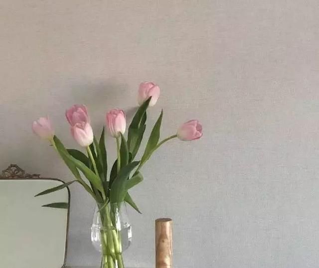 全世界的晚安说说