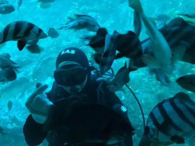 五一四天假期,济州岛高性价比亲子游推荐!