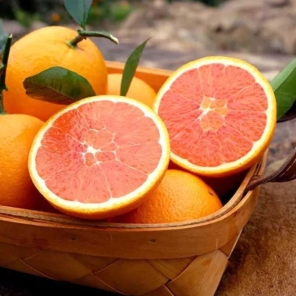 世界公认的健康水果大排名!第一名竟然是它