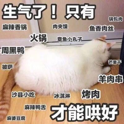 t01a34446faae2d9346.jpg