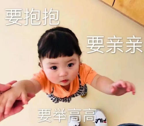 超nice软萌追尾汽车:去见你的路上,连风搞笑狗表情图撒娇图片