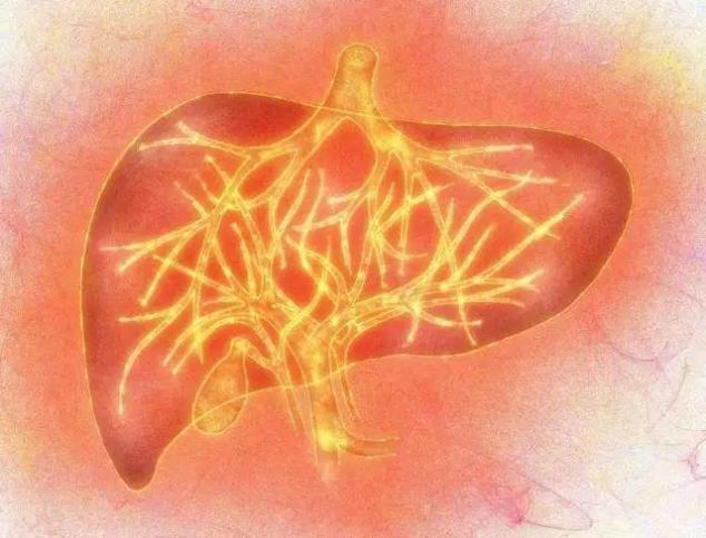 口干、口苦、口臭,肝火旺,用它泡水喝,三天见效