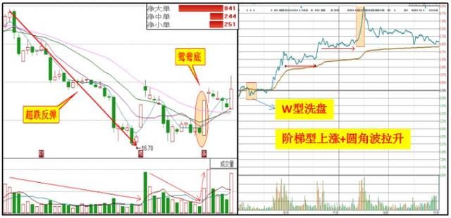 中国45岁漂亮女博士直言：股市唯一获利法“集合竞价”曝光，盈利