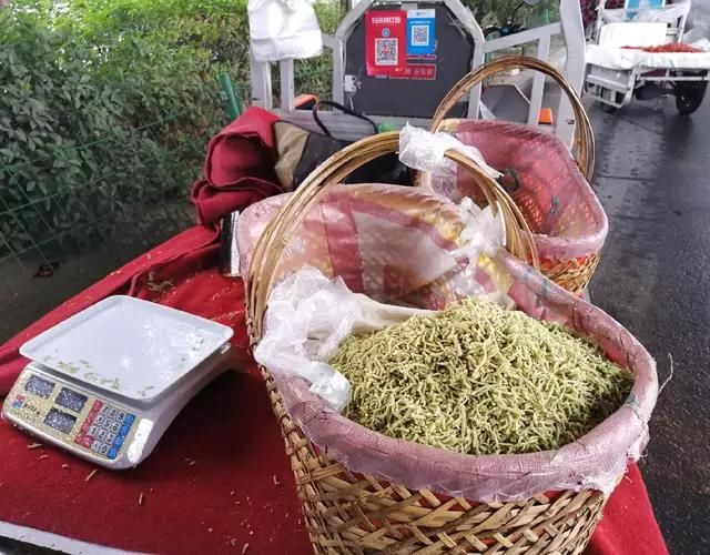 小姐姐炒的这盘美味,真的只有在这个时节的中原大地,才能吃得上