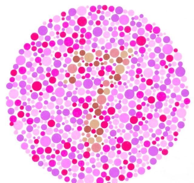 色盲与色弱也能学驾照!