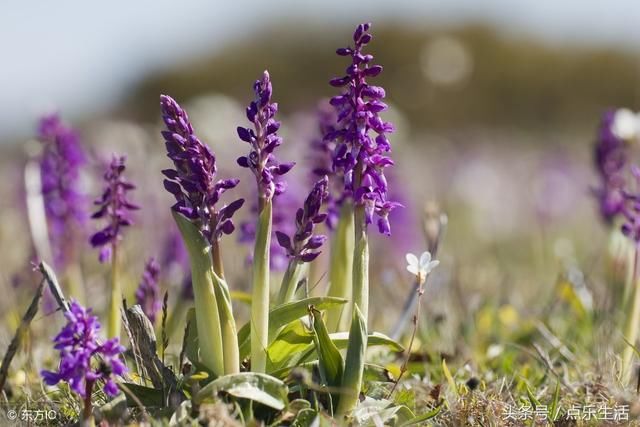做人，绝不做忘恩负义的小人！