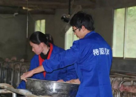 女大学生回乡养猪，脱贫致富喜结良缘