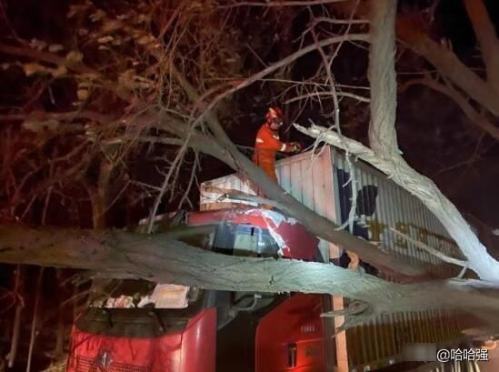 气象台发布什么信号