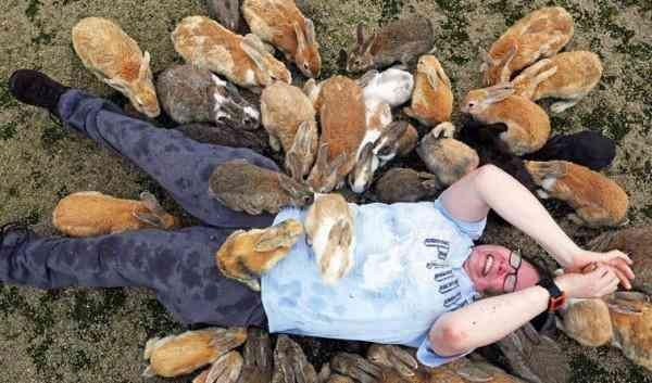 世界上小动物集聚的地方，你知道都有哪吗？