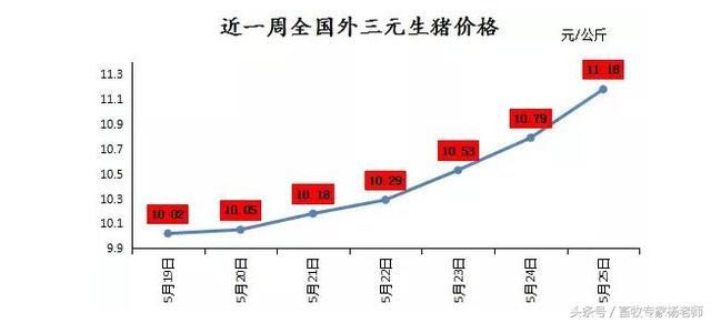 猪价涨势凶猛部分地区已经开始冲击13元，养殖户压栏出栏难抉择