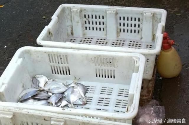 大叔在市场卖自制鱼丸，一天卖鱼500多斤，正月十五前不能休息