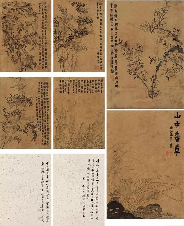 金农｜五十岁开始学画，终成一代名家