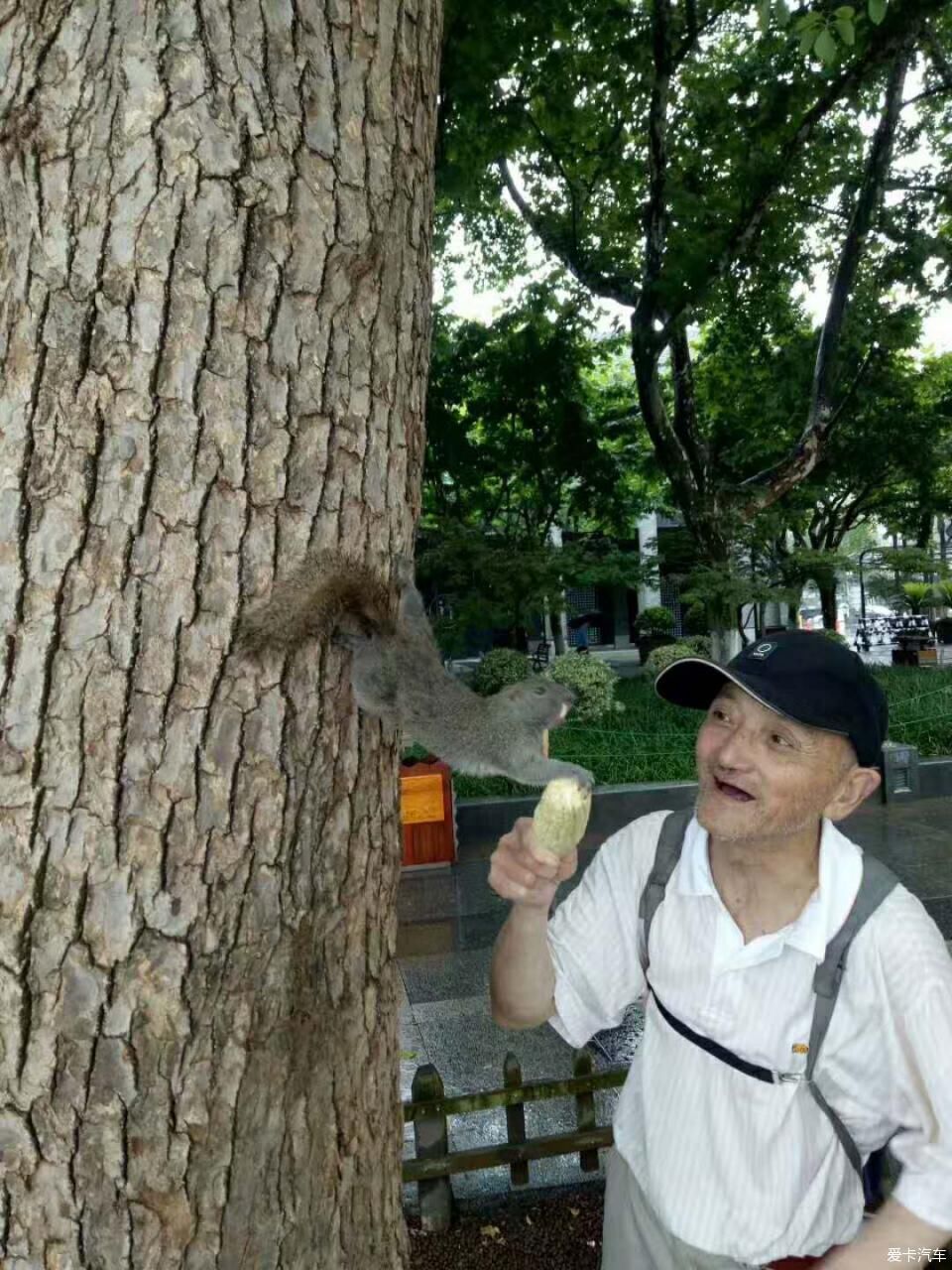 雨中西湖，乌镇夜景，美哉~【求精】