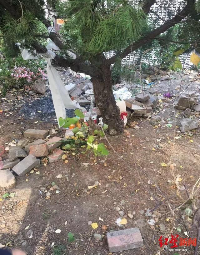 劳动教养试行办法