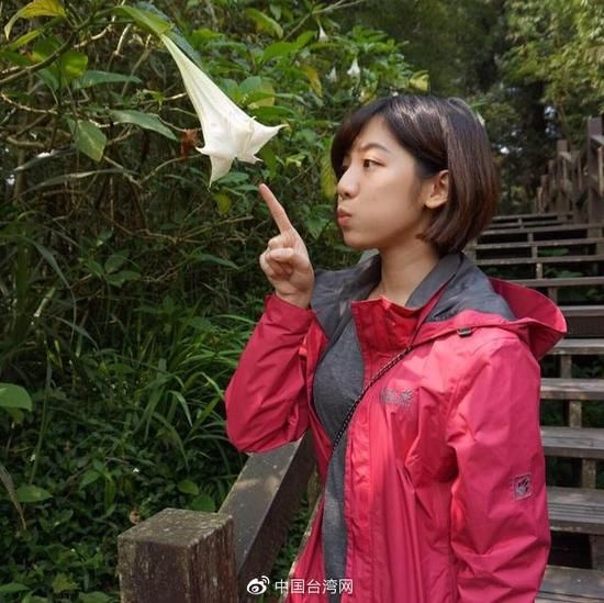 台民众党立委选举结果