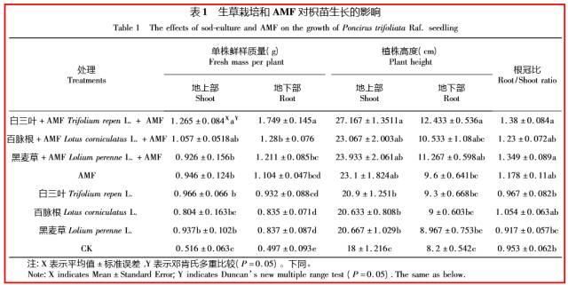 都知道果园生草栽培好处多，具体怎么做？