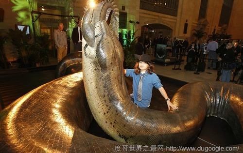 地球上5大最凶猛最残暴的远古巨蛇,沃那比蛇当