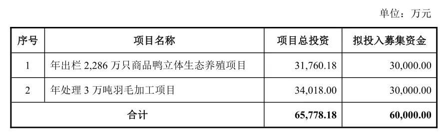 华英农业拟增发6600万股募资6亿元