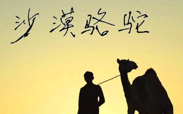 抖音神曲《沙漠骆驼》被指抄袭,有人却表示支