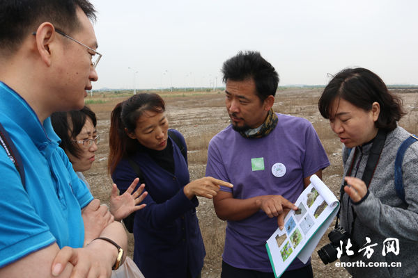 天津举办自然课堂:走进滨海湿地了解鸟类 扫