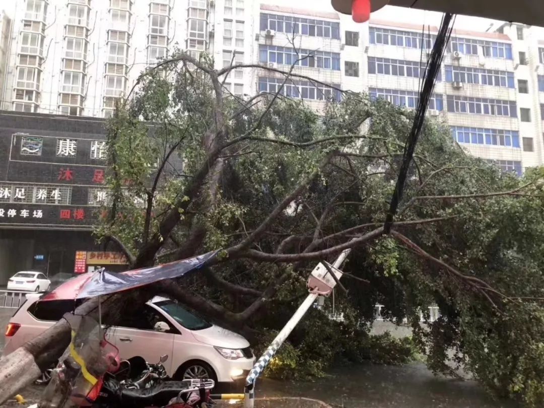 江西地区1人遭雷击！狂风暴雨雷电袭赣！多地受灾