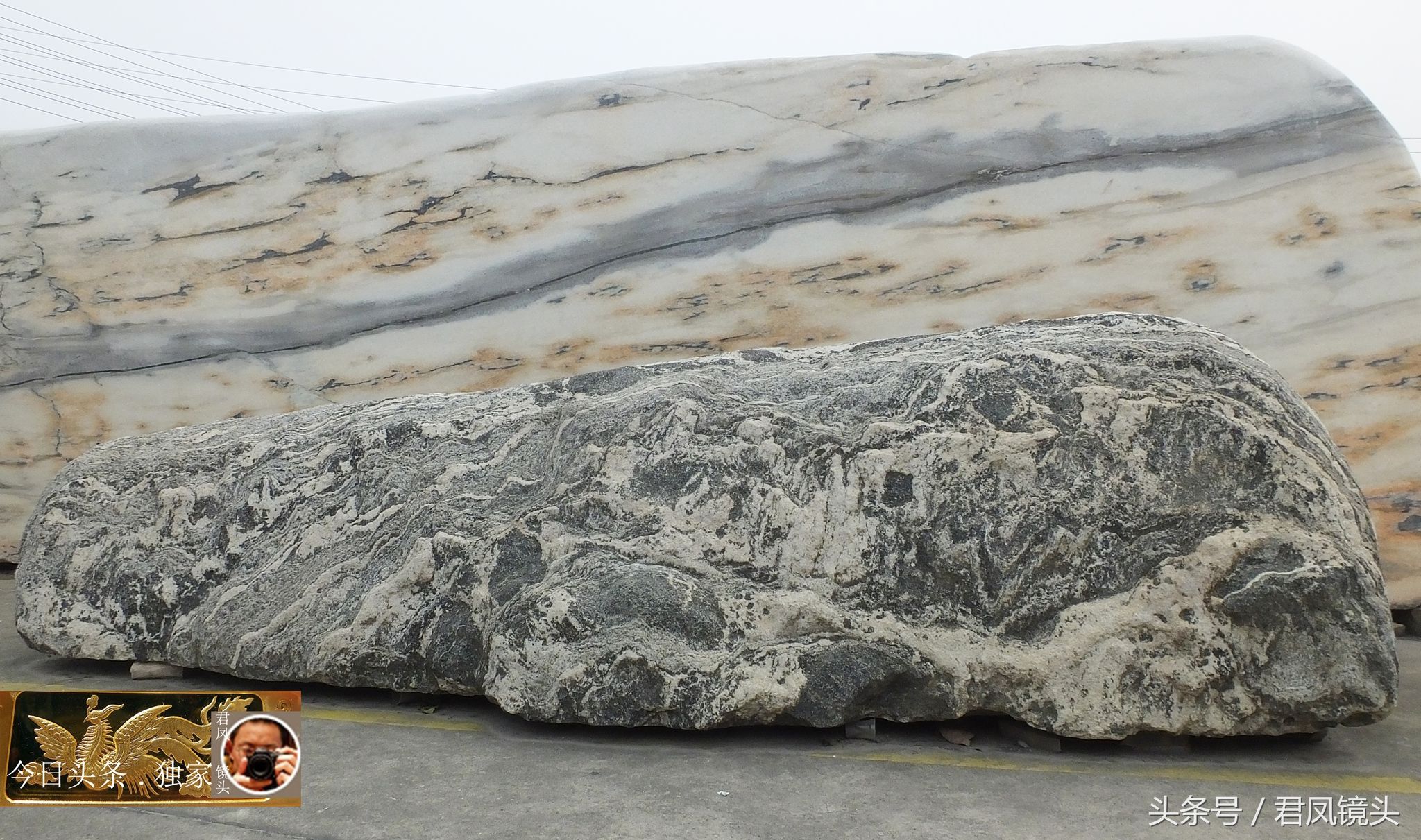 奇石摄影:园林景观石长相奇异!“大展宏图”售价580万元!